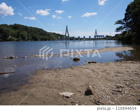 夏の水源公園の風景 110894654