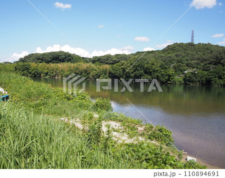 夏の水源公園の風景 110894691