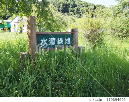夏の水源公園の風景 110894693