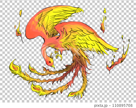 酷朱雀的插圖 110895708