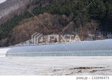 3月富良野の雪景色 110896473