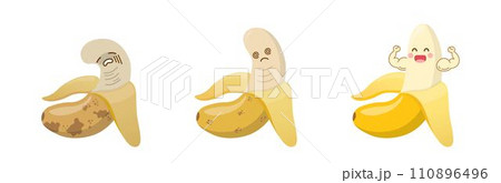 実芭蕉 バナナ 黄色 110896496