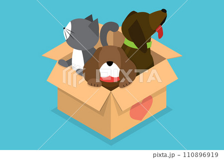 3D Isometric Flat Vector Illustration of Pet Adoption 110896919