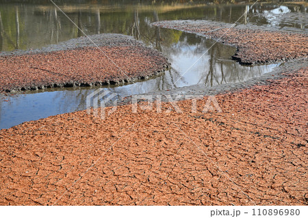 冬の水辺 掻い掘り 丸山公園の冬景色 上尾市 冬の水辺 掻い掘り 丸山公園の冬景色 上尾市 110896980