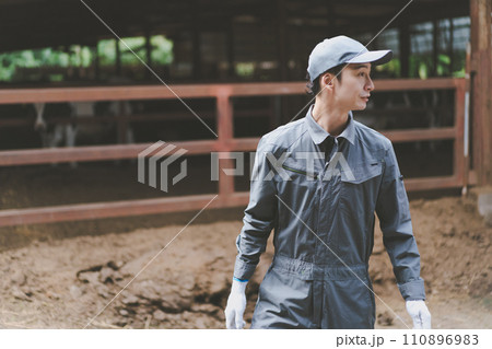ranch 110896983