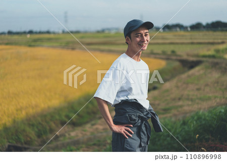 rice farming rice farming 110896998
