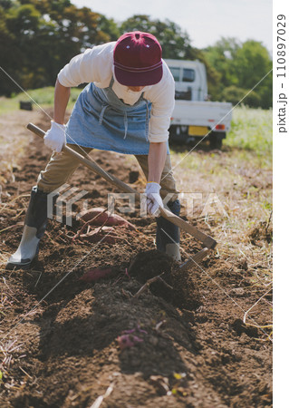 vegetable field 110897029