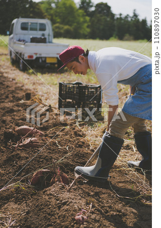 vegetable field 110897030