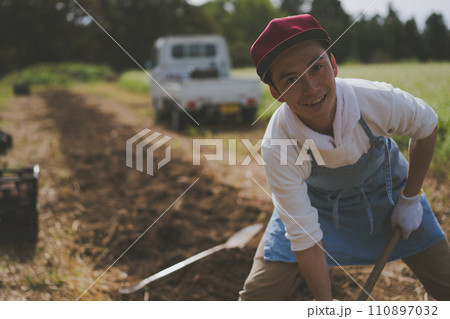 vegetable field 110897032