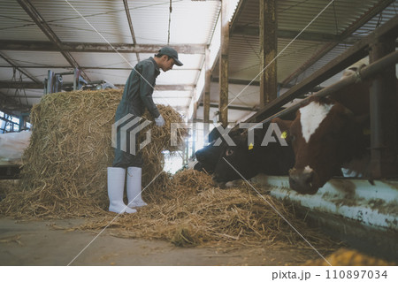 ranch ranch 110897034