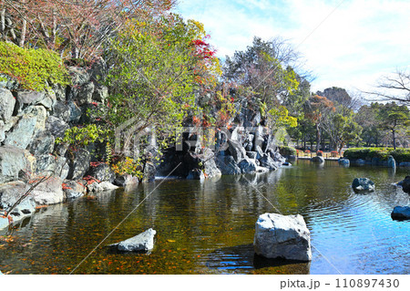 冬の水辺　日本庭園イメージ　丸山公園の冬景色　上尾市　 110897430