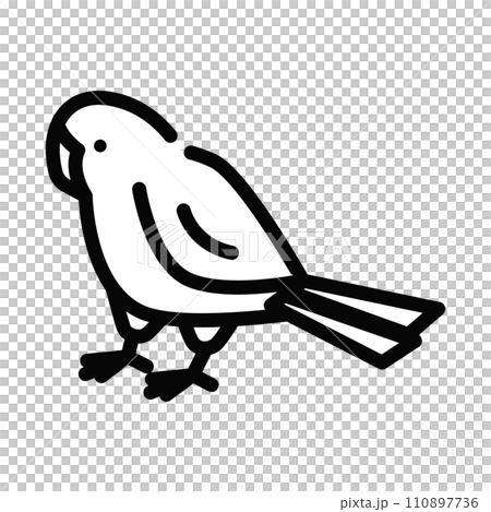 インコ　鳥　イラスト 110897736