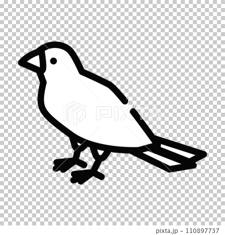 Java sparrow illustration icon 110897737