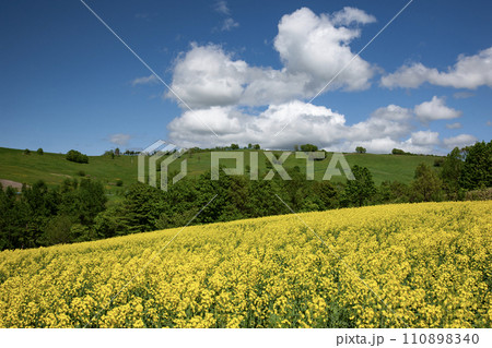 黄色い大地 黄色い大地 110898340