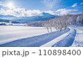北海道の雪 110898400