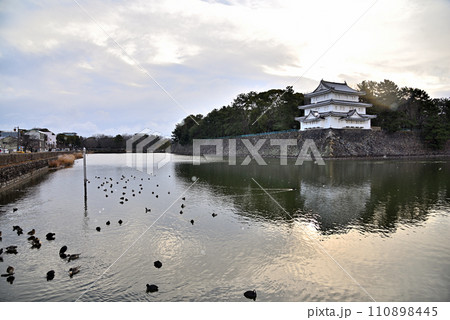 《愛知県》雪化粧した名古屋城西北隅櫓と冬鳥 110898445