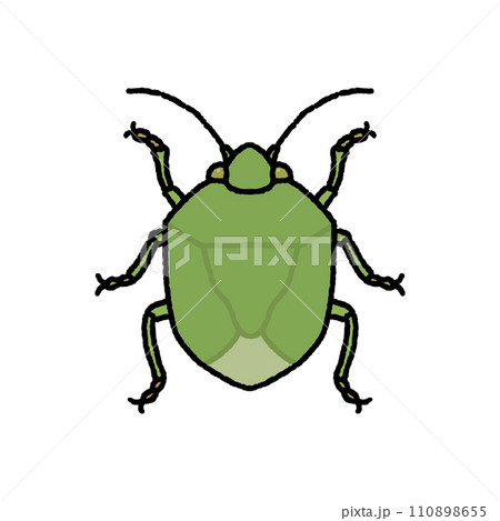 カメムシ 110898655
