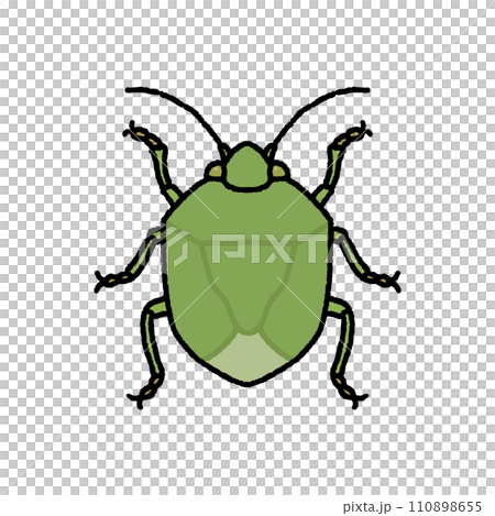 カメムシ 110898655