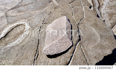 長崎県壱岐市の龍蛇浜（りゅうだはま）に置いた柱状節理の石 110899467