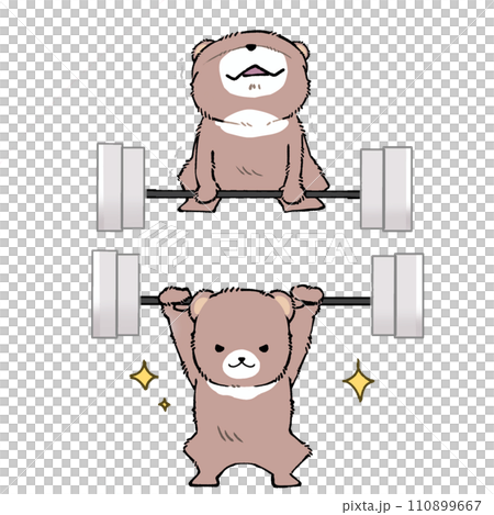 A bear lifting a barbell and doing muscle training 110899667