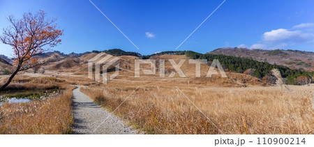 青空バックに見る砥峰高原の秋のパノラマ情景 青空バックに見る砥峰高原の秋のパノラマ情景 110900214