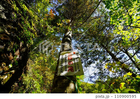 芦別岳旧道登山道の三段の滝の標識 110900595