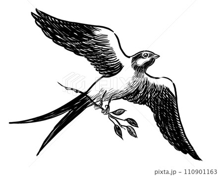 Flying swallow bird. Hand-drawn retro styled black and white illustration Flying swallow bird. Hand-drawn retro styled black and white illustration 110901163