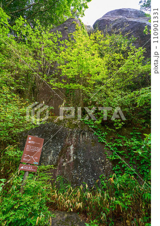 春の茨城の百名山 筑波山パワースポットの陰陽石(いんようせき) 110901331