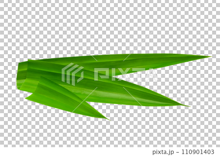 leaf Pandan isolated 110901403