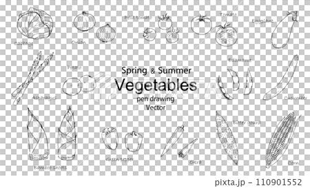 春と夏の野菜のペン画セット 110901552