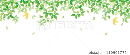 爽やかな葉っぱの木陰と鳥の背景 110901775