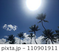 The 夏 110901911