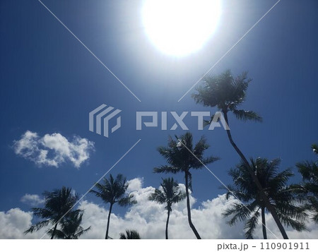 The 夏 110901911