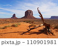 モニュメントバレー ミトンビュート 110901981