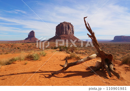 モニュメントバレー ミトンビュート 110901981