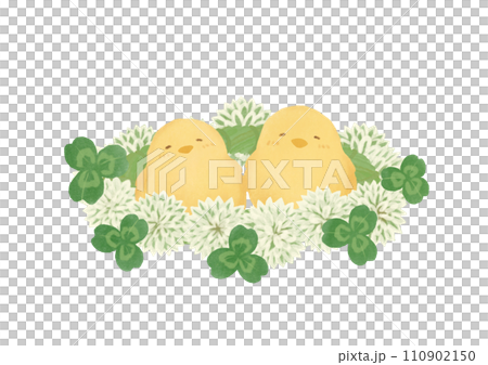 Watercolor illustration of chick and clover and corolla Watercolor illustration of chick and clover and corolla 110902150