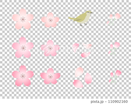 3色の桜と花びら、つぼみ、鶯のセット 110902160