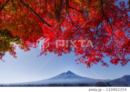 富士山と紅葉 110902354
