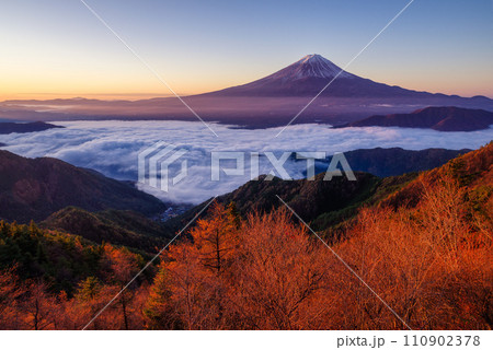 日本の風景「富士山と雲海」 110902378