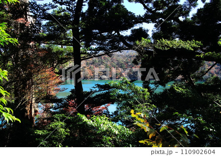森の奥に見える六観音御池の紅葉 森の奥に見える六観音御池の紅葉 110902604
