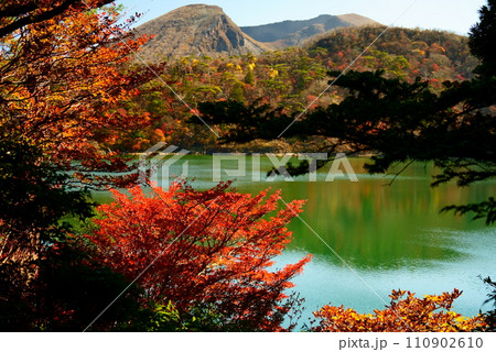 六観音御池の美しい紅葉風景 110902610