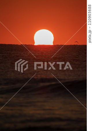感動の夕陽 110903688