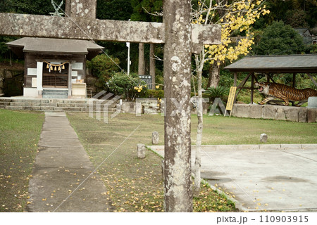 虎のいる八房神社の景色 虎のいる八房神社の景色 110903915