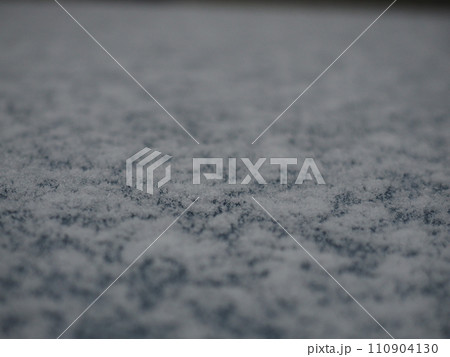 積もり始めた雪 110904130