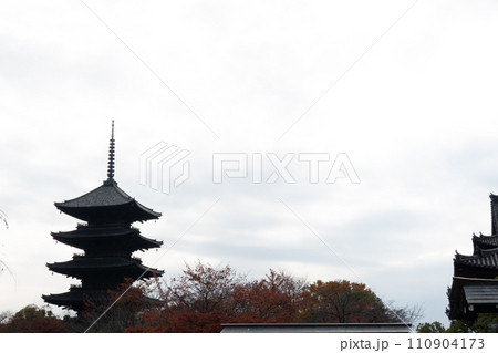 京都「東寺 五重塔」 in 京都市南区 京都府 Japan 110904173