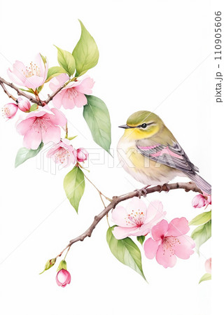 春の小鳥と桜の水彩画イラストアート（AI生成画像） 110905606
