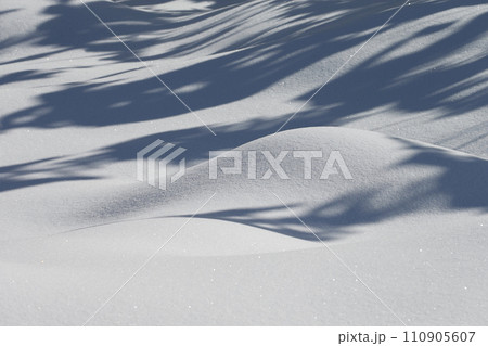 新雪の雪 110905607