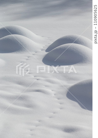 新雪の雪 110905625