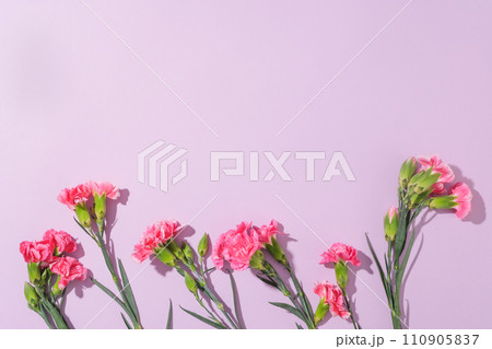 Minimalistic nature concept with copy space and several fresh flowers in pink color featured. Blank space for beauty product advertising. Greeting card design for International Women Day content 110905837