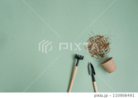 Set of garden tools and seeds on a green background of the table at home Set of garden tools and seeds on a green background of the table at home 110906491